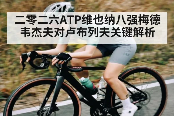 二零二六ATP维也纳八强梅德韦杰夫对卢布列夫关键解析
